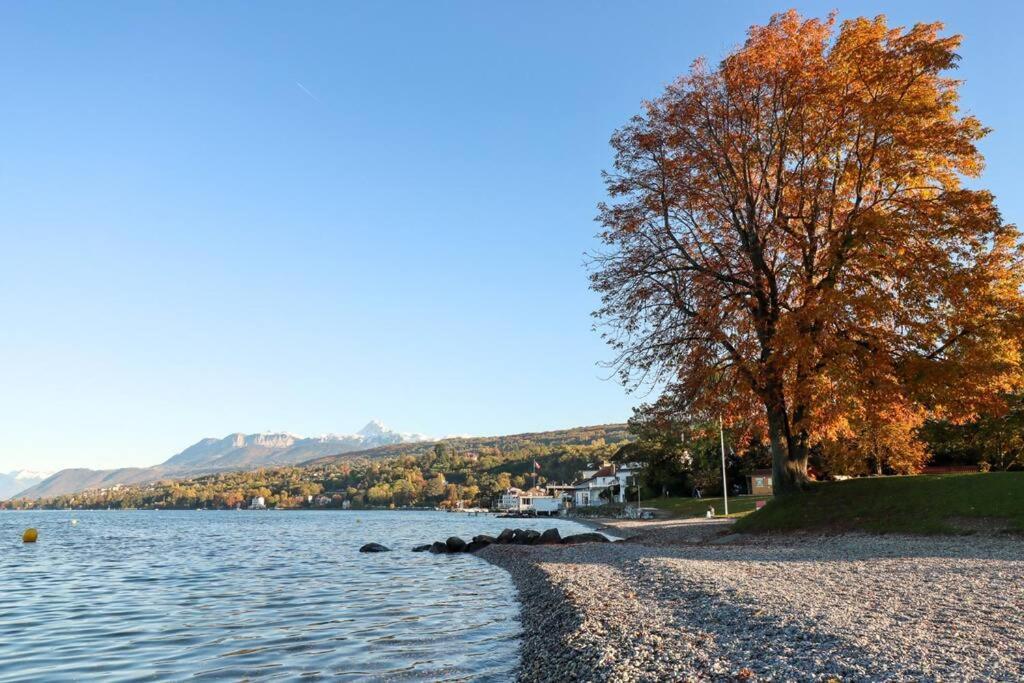Apartamento L'Escale Du Leman Publier Exterior foto