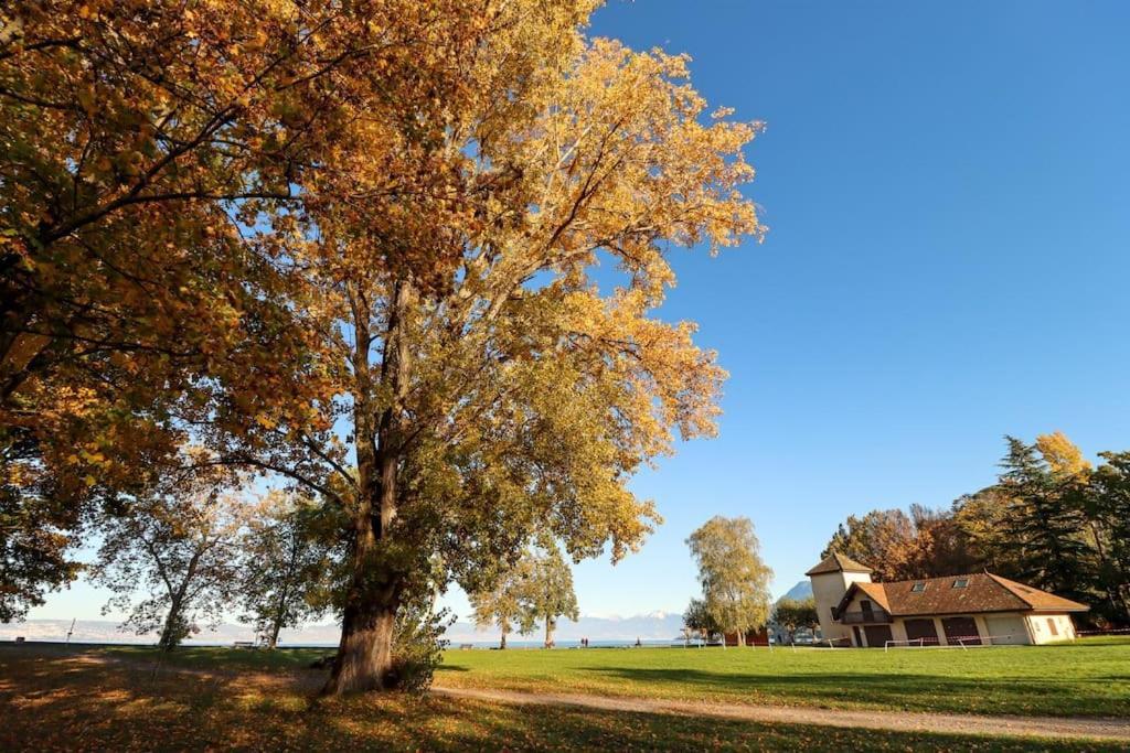 Apartamento L'Escale Du Leman Publier Exterior foto